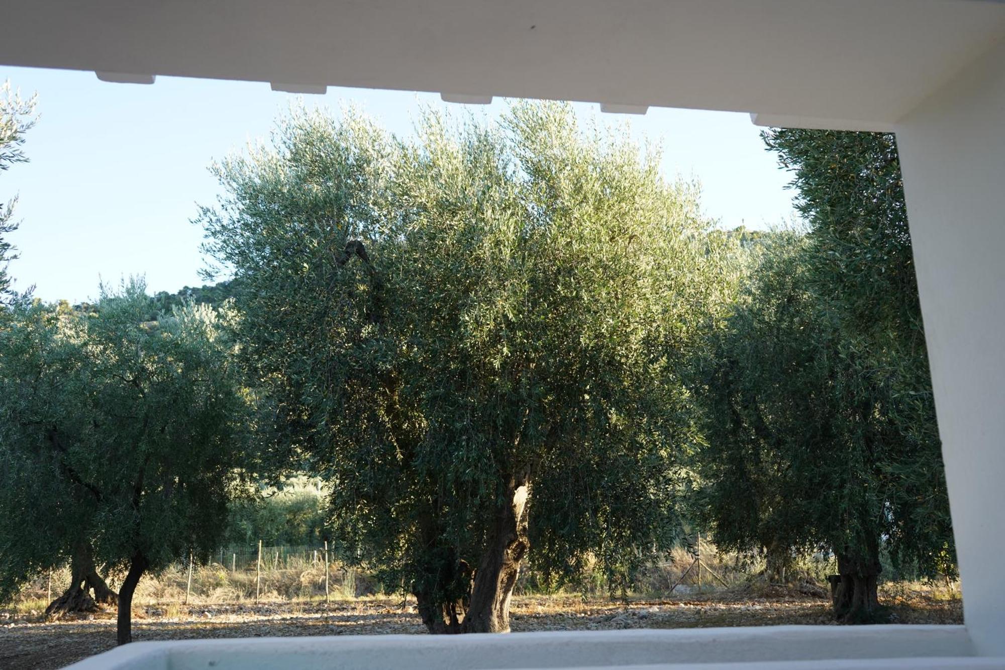 Olive&Sea Villa-Olive Mattinata Exterior foto