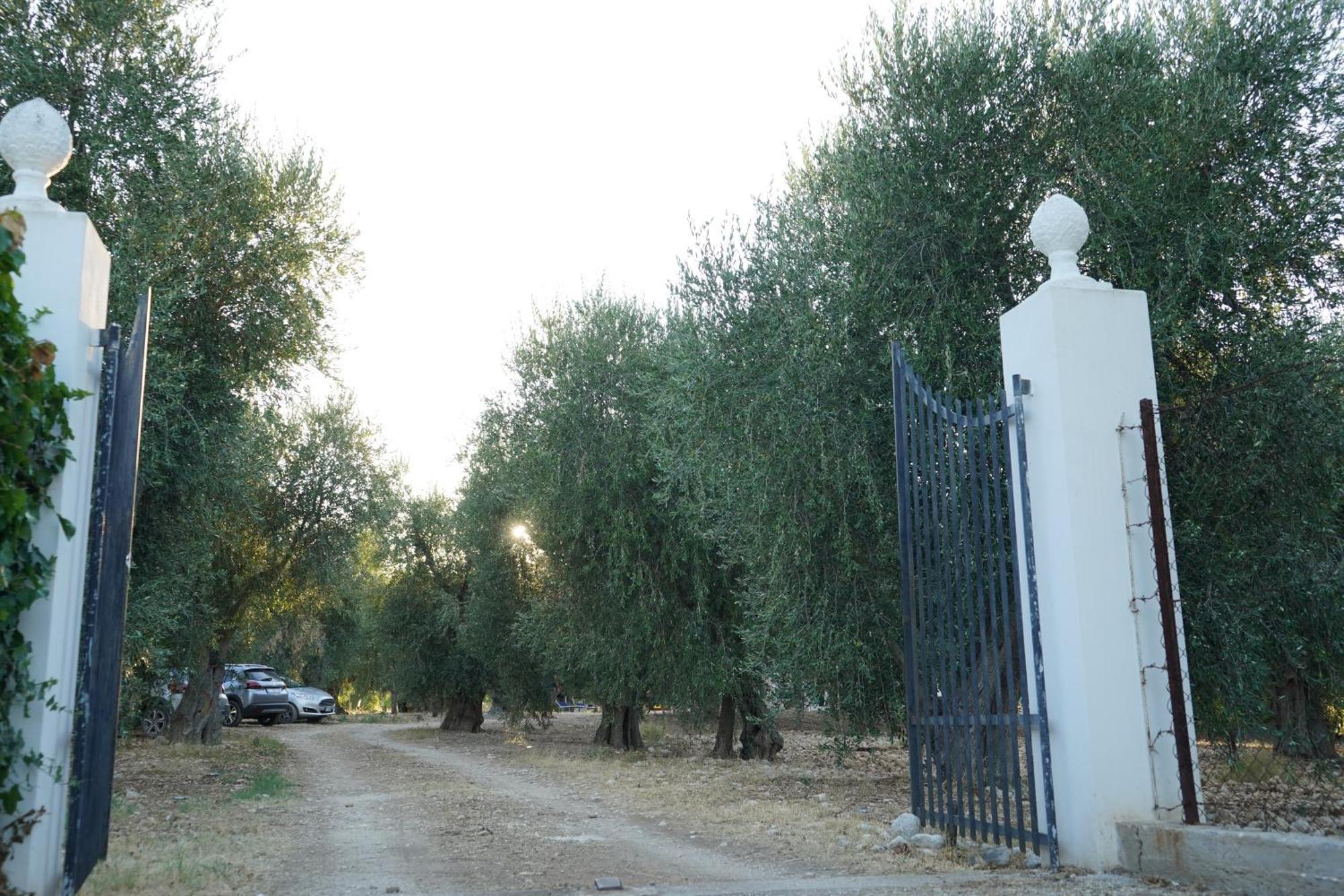 Olive&Sea Villa-Olive Mattinata Exterior foto