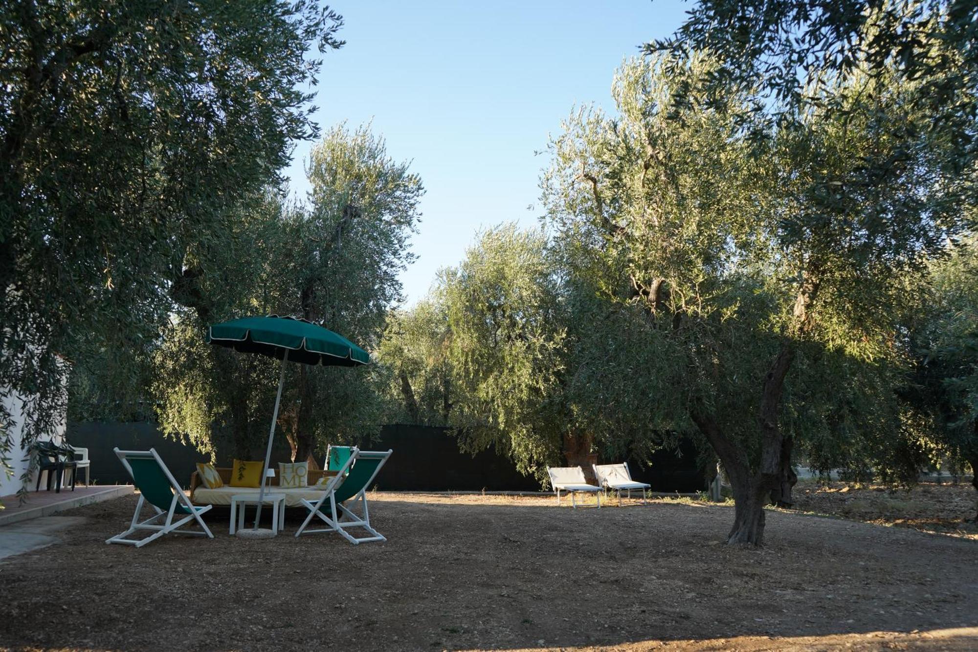 Olive&Sea Villa-Olive Mattinata Exterior foto