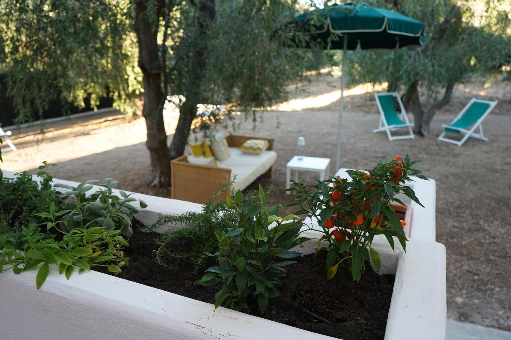 Olive&Sea Villa-Olive Mattinata Exterior foto
