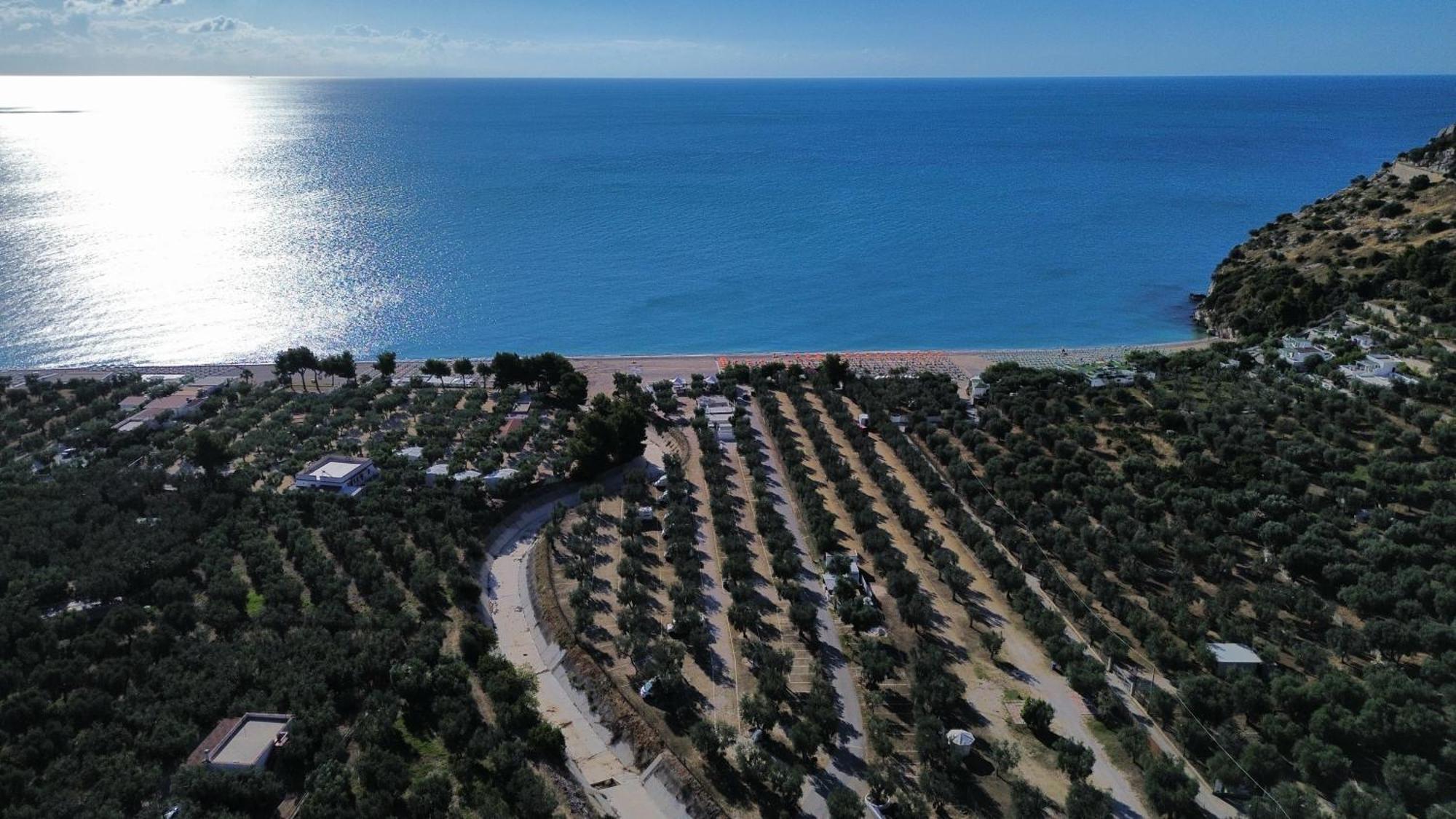 Olive&Sea Villa-Olive Mattinata Exterior foto