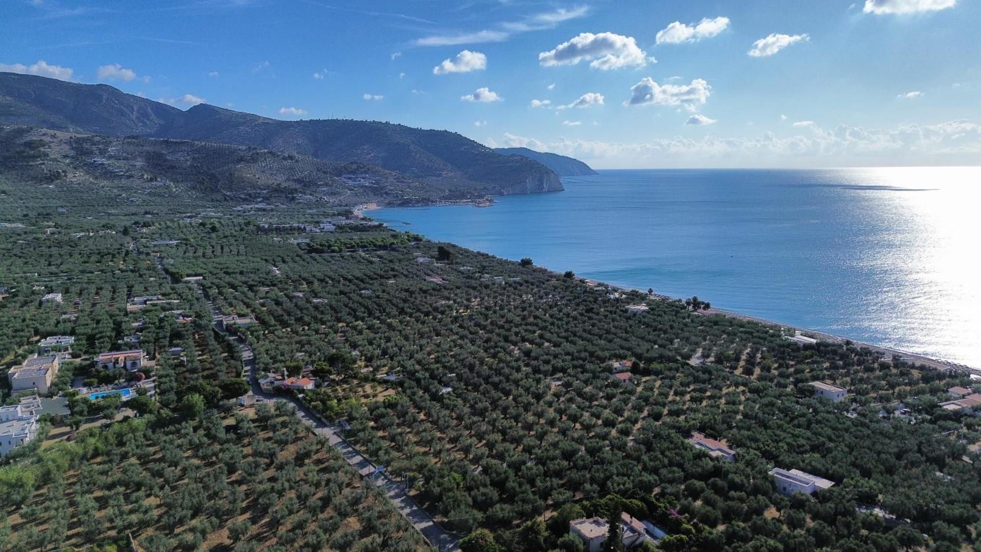 Olive&Sea Villa-Olive Mattinata Exterior foto